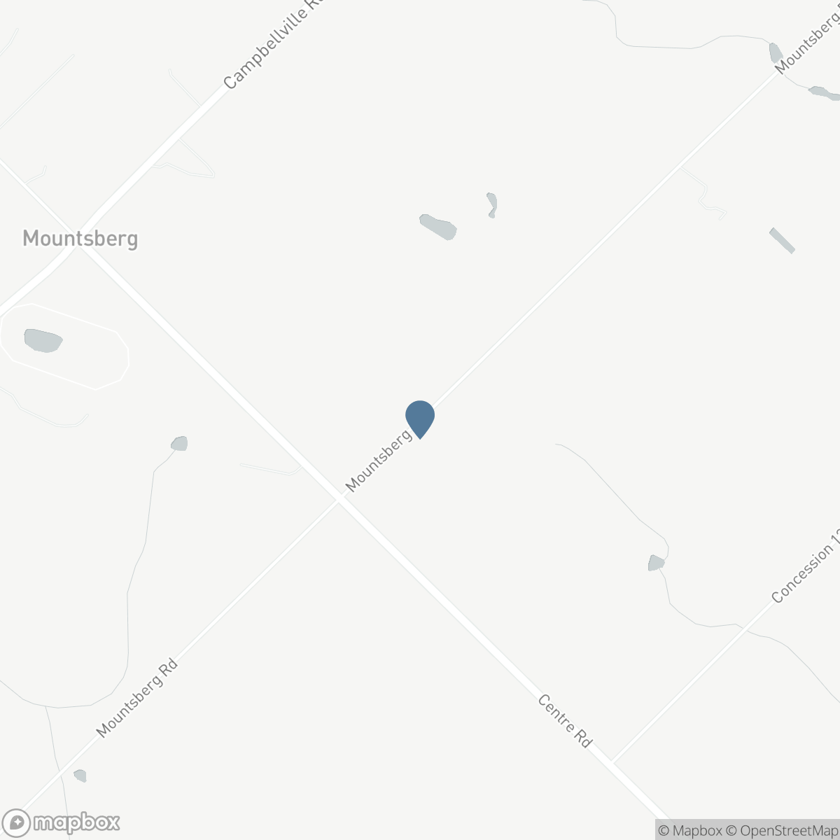 216 MOUNTSBERG ROAD, Hamilton, Ontario L0P 1B0